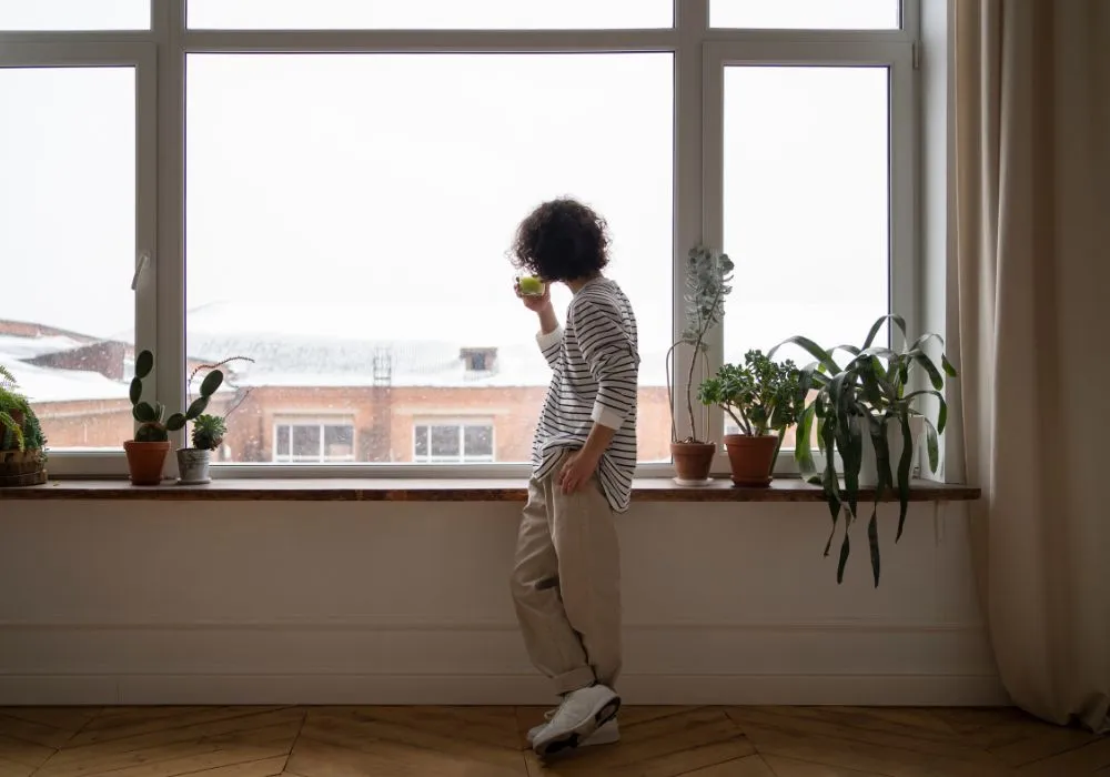 Room window regulations
