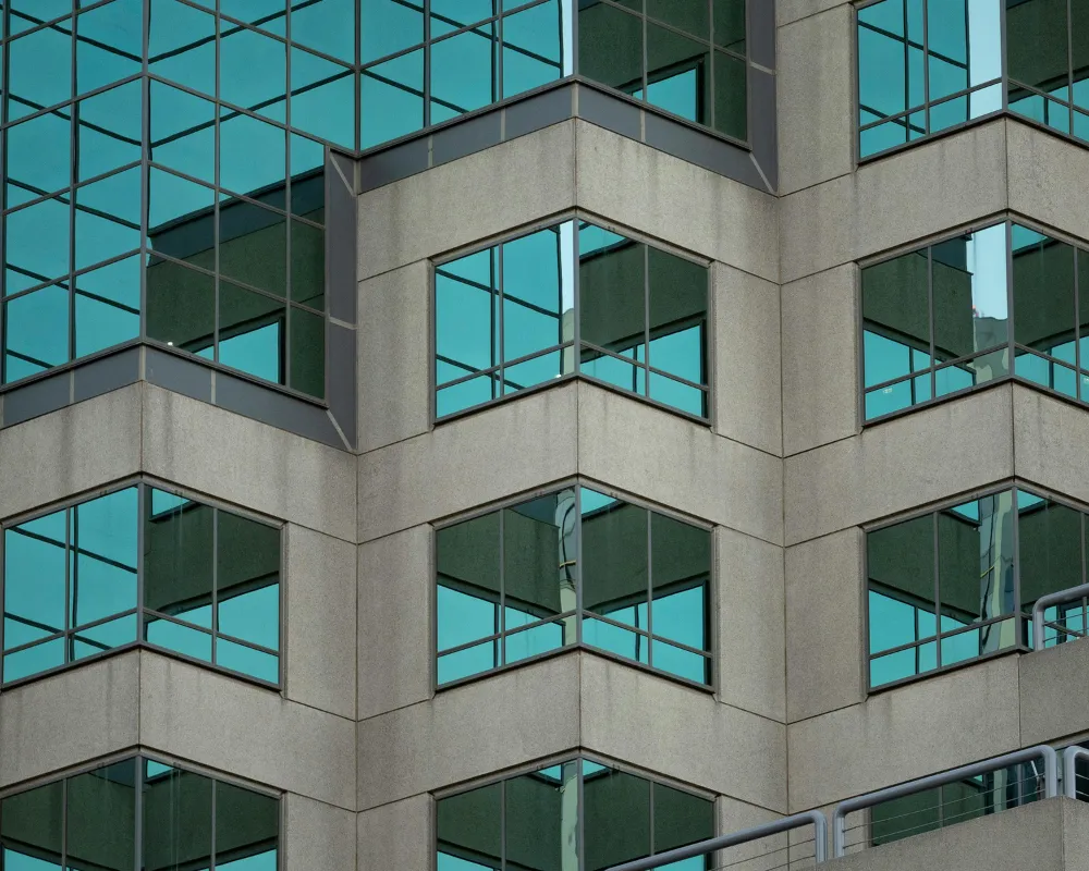Replace or Repair Windows